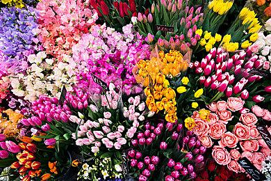 《哥布林杀手：另一个冒险-噩梦盛宴》Steam页面上线 明年2月28日发售