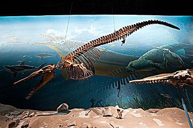 英伟达文件疑似泄露任天堂新版Switch支持DLSS